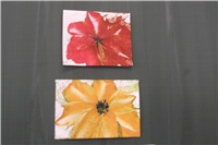 b536b2b7-Picture 002.jpg